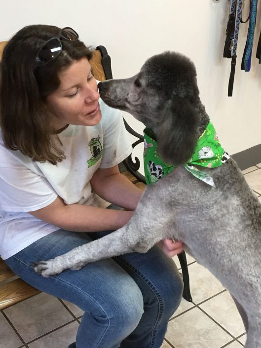 Friendly Doggy Day Care Staff in Asheville NC